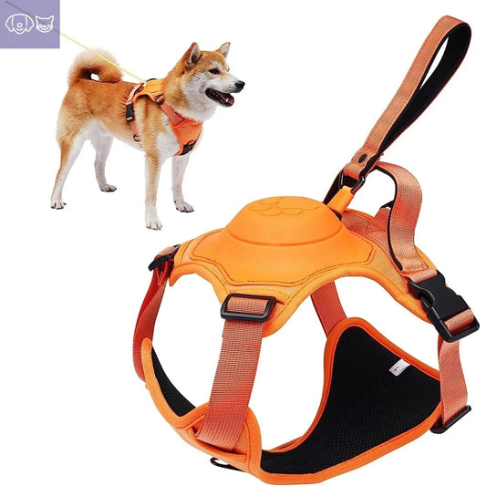 Dog Harness and Retractable Leash Set All-in-One