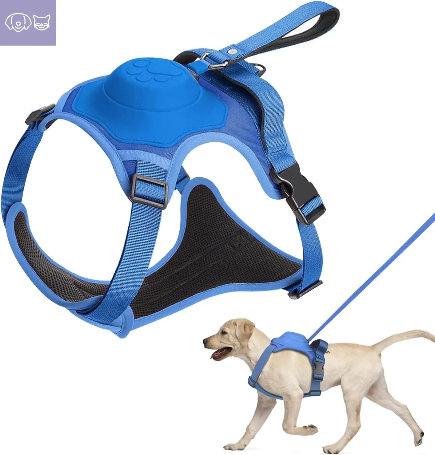 Dog Harness and Retractable Leash Set All-in-One
