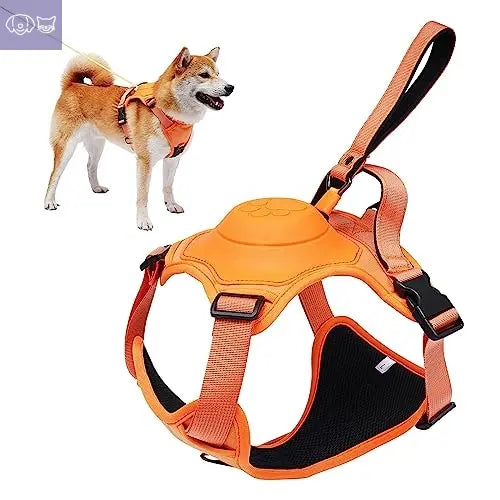 Dog Harness and Retractable Leash Set All-in-One