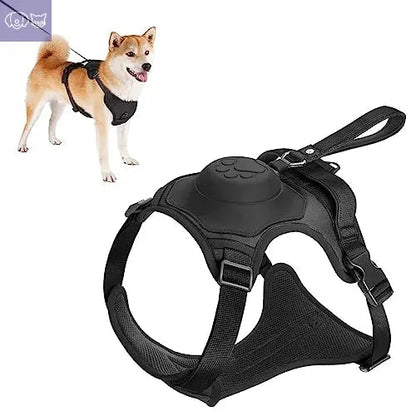 Dog Harness and Retractable Leash Set All-in-One