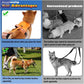 Dog Harness and Retractable Leash Set All-in-One