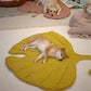 Dog Leaf Blanket