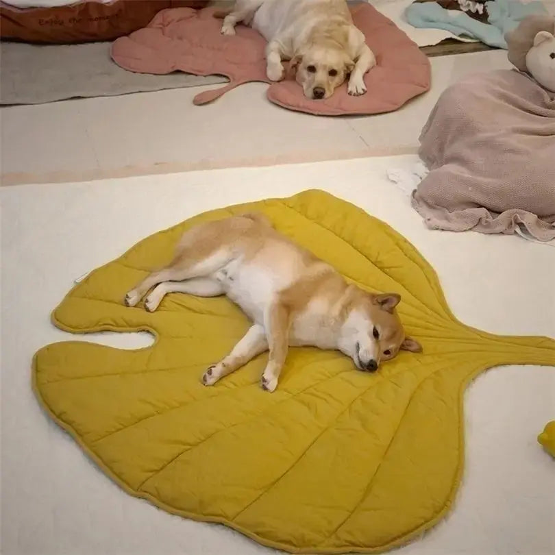 Dog Leaf Blanket
