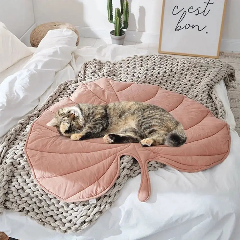 Dog Leaf Blanket