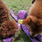 Snuffle Octopus Dog Toy – Interactive Slow Feeder and Enrichment Game