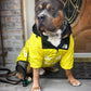 Dog Raincoat Waterproof Windbreaker – Hooded Jacket for All Sizes