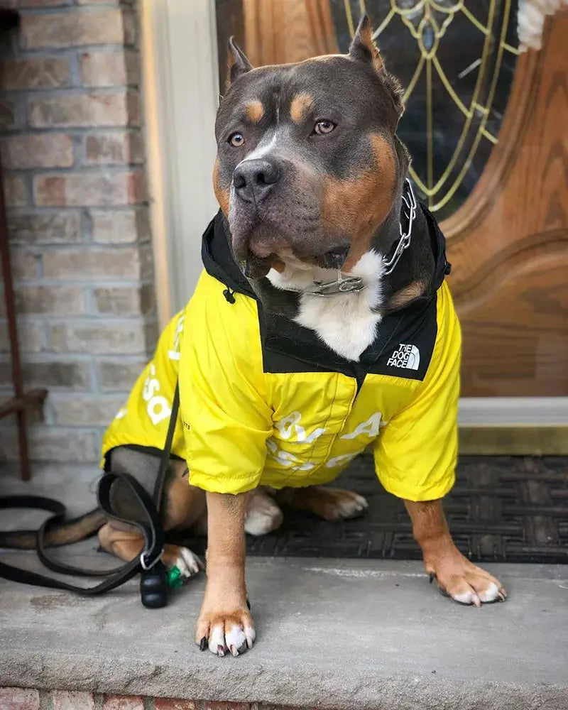 Dog Raincoat Waterproof Windbreaker – Hooded Jacket for All Sizes