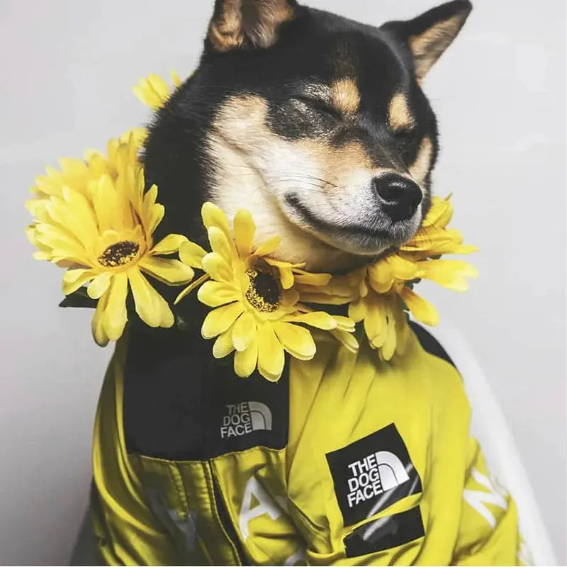 Dog Raincoat Waterproof Windbreaker – Hooded Jacket for All Sizes