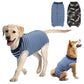 Dog Recovery Suit for Abdominal Wounds – Anti-Licking Onesie