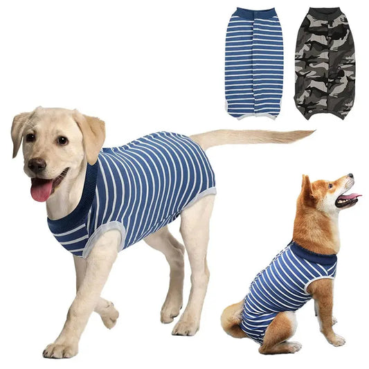 Dog Recovery Suit for Abdominal Wounds – Anti-Licking Onesie