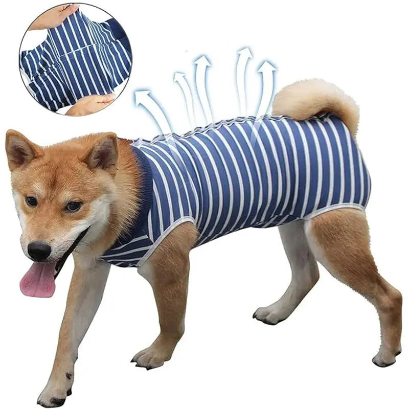 Dog Recovery Suit for Abdominal Wounds – Anti-Licking Onesie