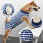 Dog Recovery Suit for Abdominal Wounds – Anti-Licking Onesie