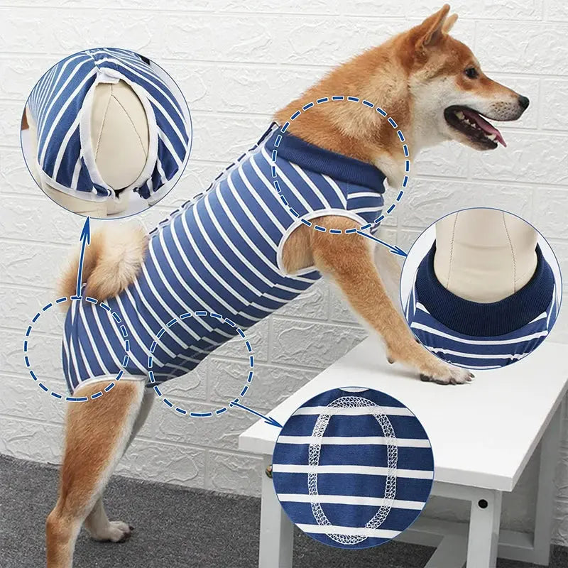 Dog Recovery Suit for Abdominal Wounds – Anti-Licking Onesie
