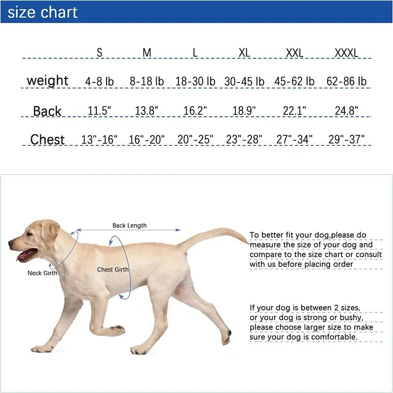 Dog Recovery Suit for Abdominal Wounds – Anti-Licking Onesie
