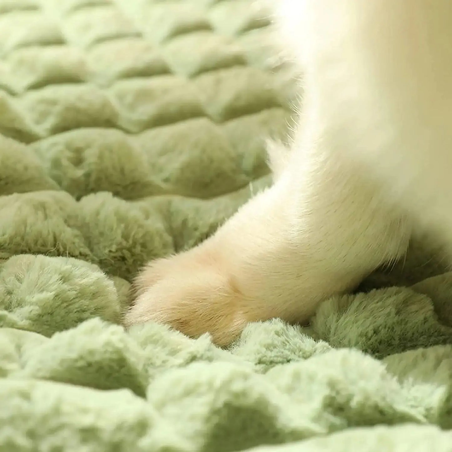Dog Kennel Removable and Washable Pet Mat Bed for Comfort