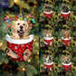 Dogs Snow Pocket Ornaments