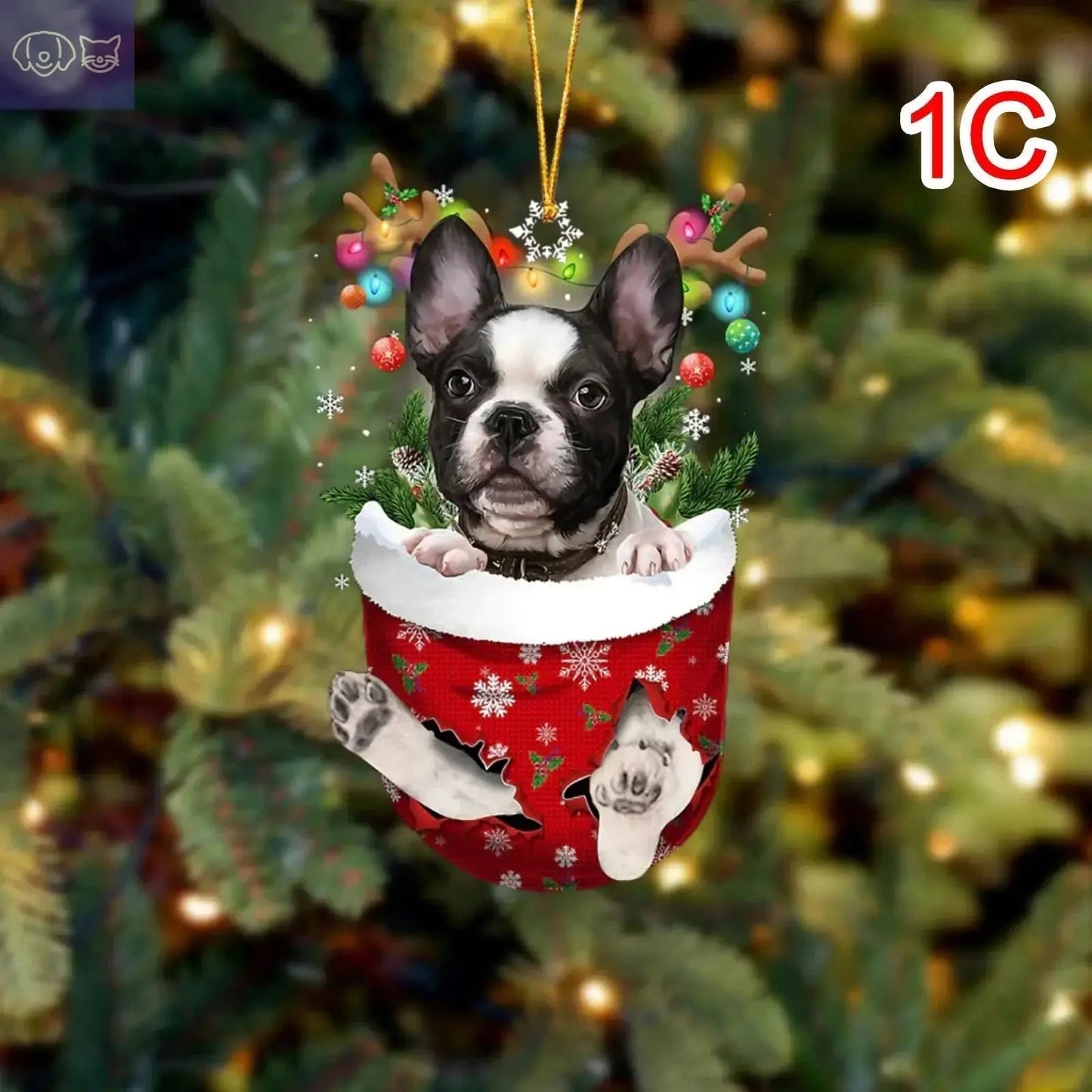 Dogs Snow Pocket Ornaments
