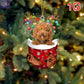 Dogs Snow Pocket Ornaments