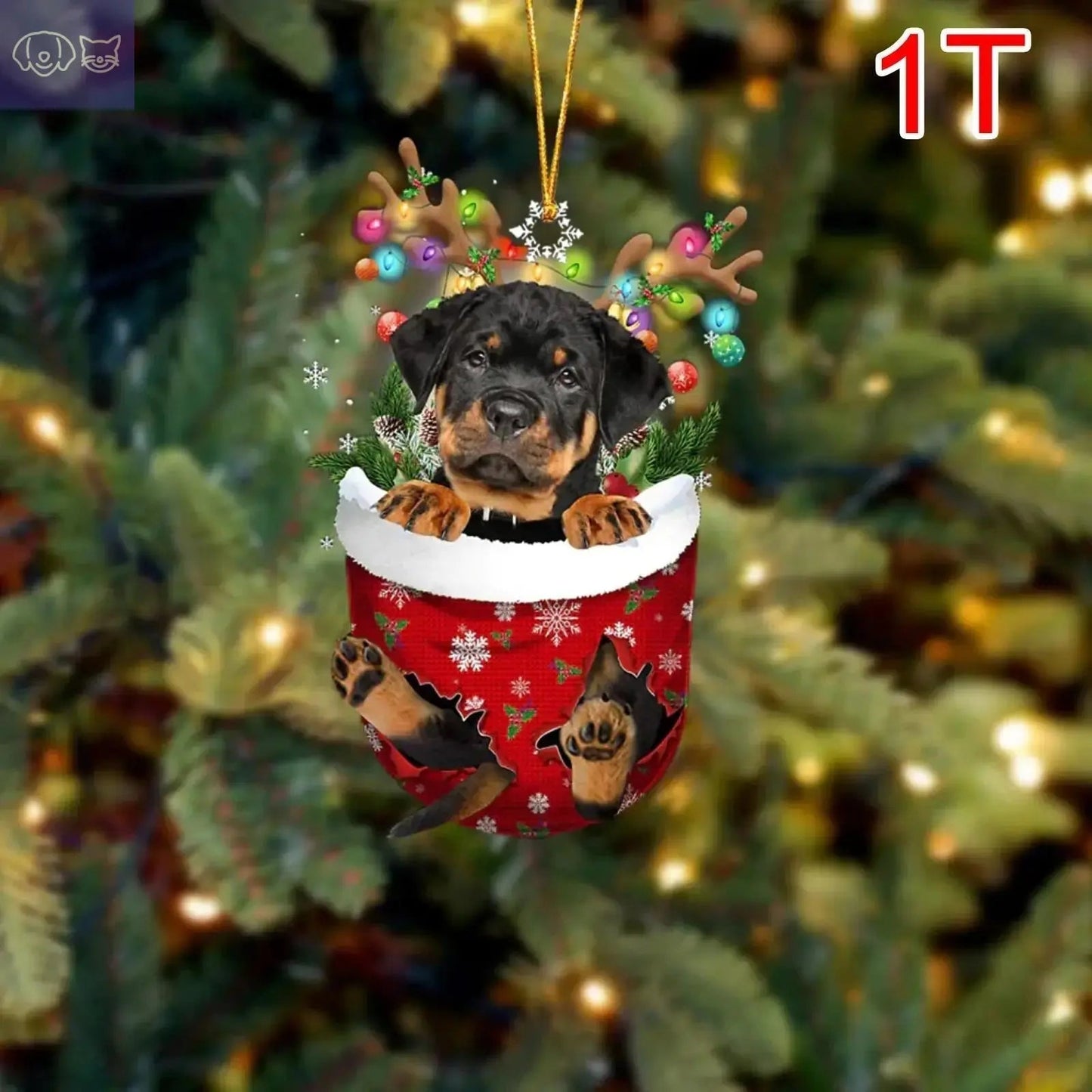 Dogs Snow Pocket Ornaments