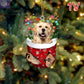 Dogs Snow Pocket Ornaments