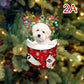 Dogs Snow Pocket Ornaments