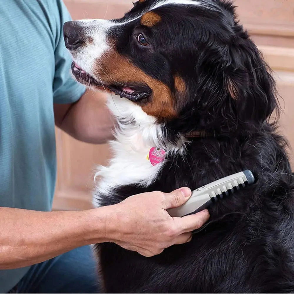 ELECTRIC DOG CAT COMB HAIR TRIMMING GROOMING