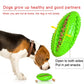 Natural Rubber Chew Toy EZCHEW  – Tooth-Cleaning Dog Toy