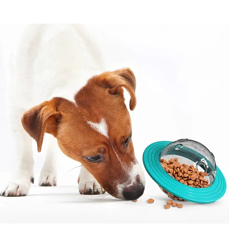 Flying Saucer Dog Slow Food Feeder