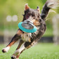 Flying Saucer Dog Slow Food Feeder