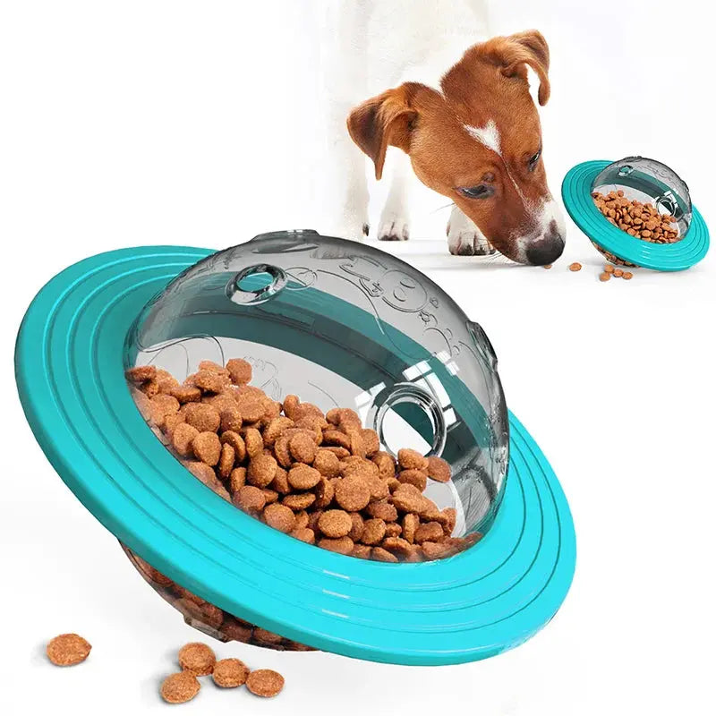 Flying Saucer Dog Slow Food Feeder