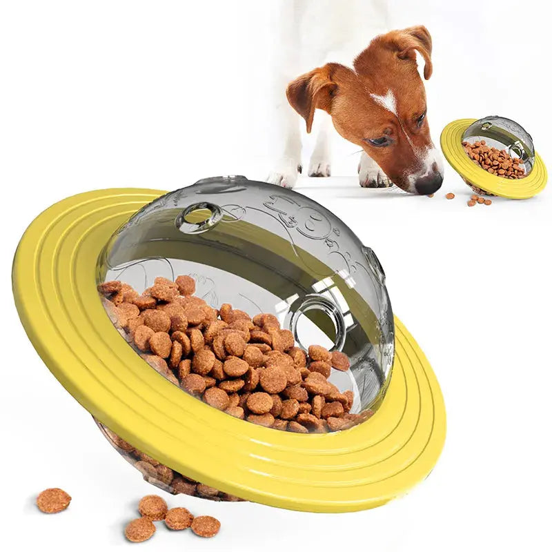 Flying Saucer Dog Slow Food Feeder