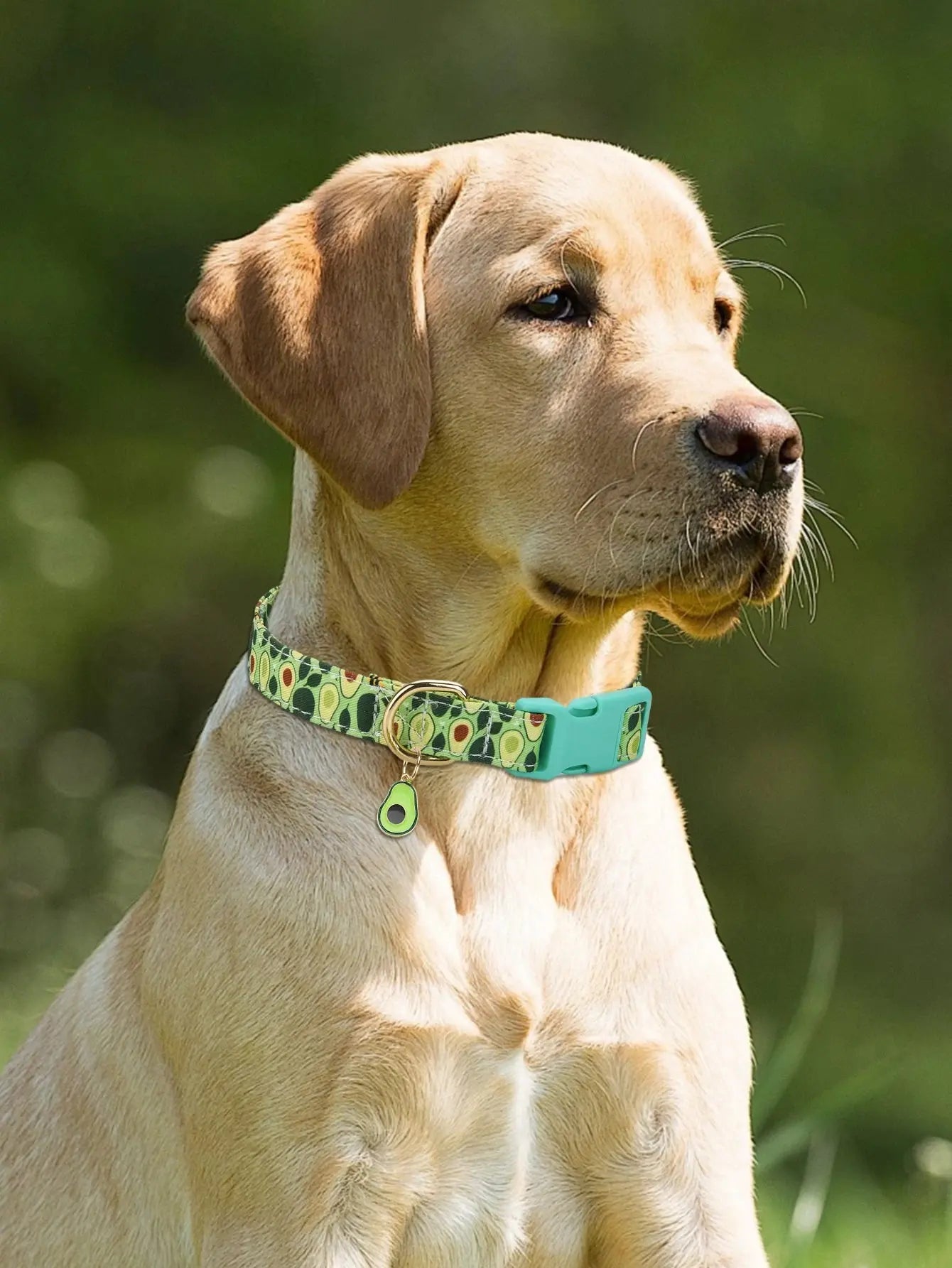 Fruit Pattern Dog Collar with Metal Pendant – Stylish & Comfortable