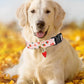 Fruit Pattern Dog Collar with Metal Pendant – Stylish & Comfortable