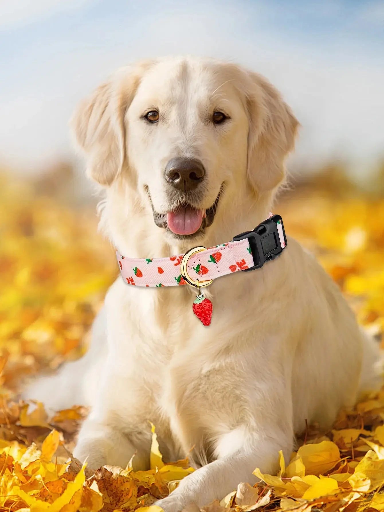 Fruit Pattern Dog Collar with Metal Pendant – Stylish & Comfortable