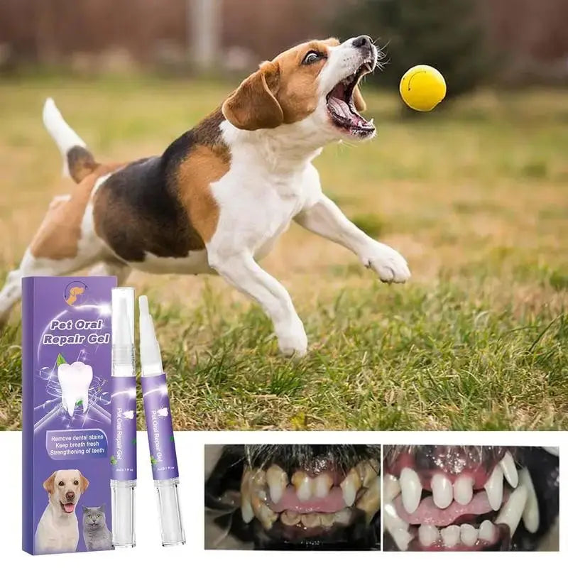 Glorix™ Fast-Acting Gum & Teeth Repair