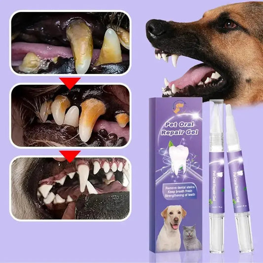 Glorix™ Fast-Acting Gum & Teeth Repair