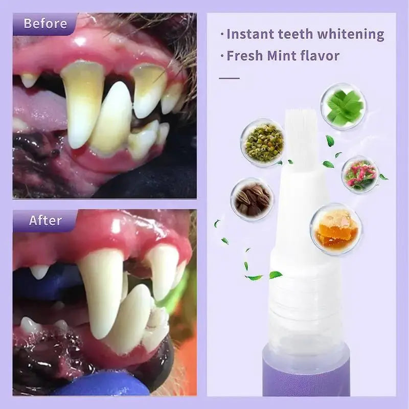 Glorix™ Fast-Acting Gum & Teeth Repair