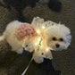 Halloween Glowing Butterfly Wings for Pets