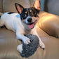 QuillQuest™ Immortal Squeaker Plush Toy For Aggressive Chewers