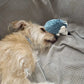 QuillQuest™ Immortal Squeaker Plush Toy For Aggressive Chewers