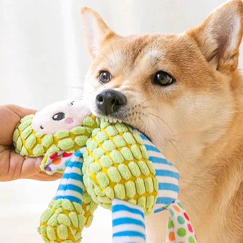 🔥IMMORTAL SQUEAKER PLUSH TOY FOR AGGRESSIVE CHEWERS