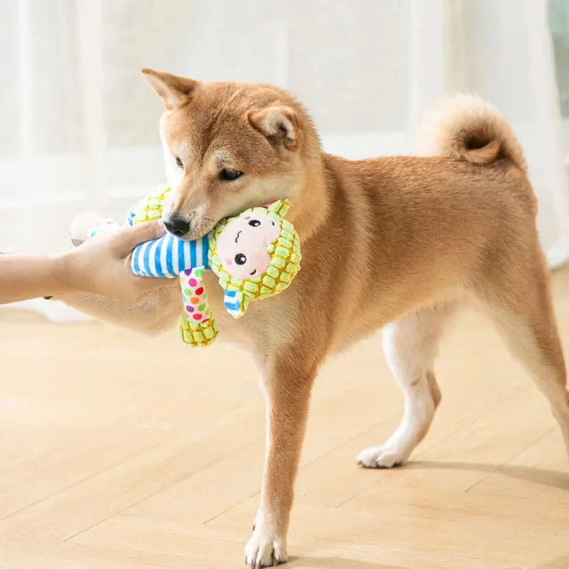 🔥IMMORTAL SQUEAKER PLUSH TOY FOR AGGRESSIVE CHEWERS