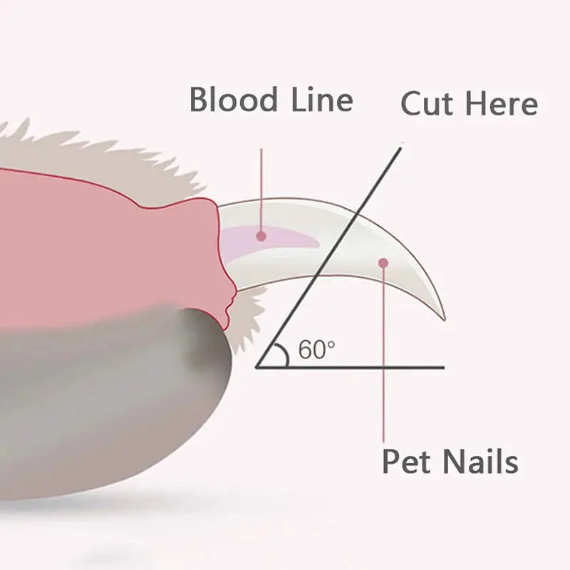 LED Pet Nail Clippers Scissors – Professional Grooming Tool for Pets