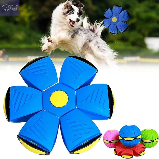 MagicDecomp™ Multi-Function Dog Toy