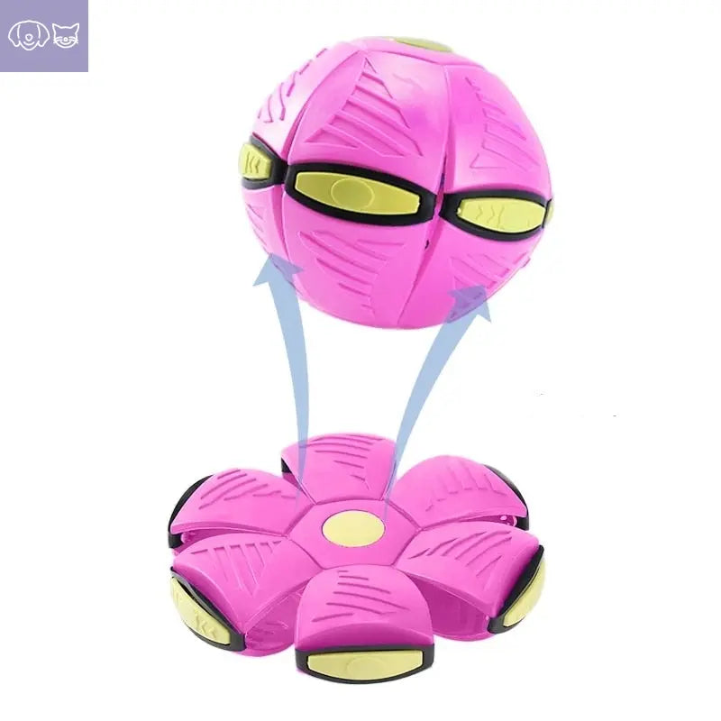 MagicDecomp™ Multi-Function Dog Toy