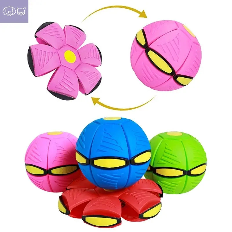 MagicDecomp™ Multi-Function Dog Toy