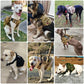 Military Large Dog Durable Harness K9