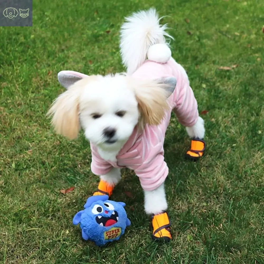 Chewie Viral Bouncing Monster