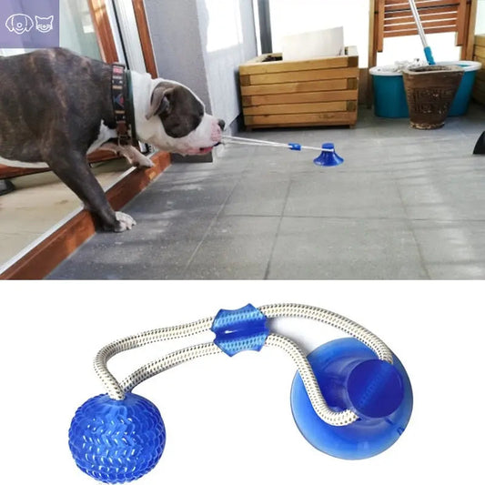 ChewzyPaw™ Dog Bite Toy