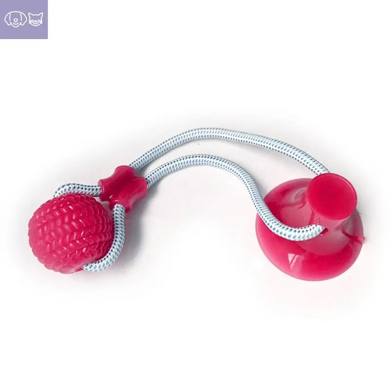 ChewzyPaw™ Dog Bite Toy